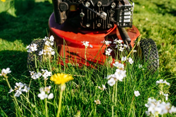 grass-cutting-schedules-tips-your-easy-lawn-care-guide